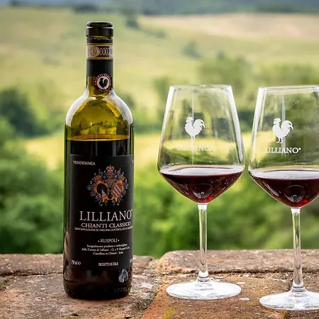 Villa In The Heart Of Chianti, Pool, Wifi, View - Lilliano Castellina in Chianti